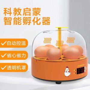 Educational Yellow Mini Egg Incubator for Kids