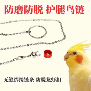 Anti-Bite Bird Leash with Ankle Ring