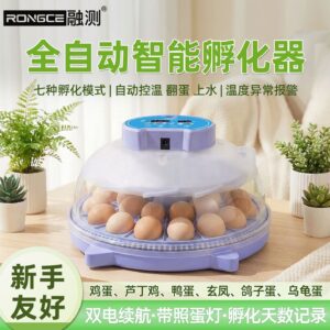 Mini Intelligent Egg Hatching Machine with Light