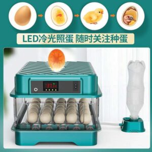 Fully Automatic Household Egg Hatcher