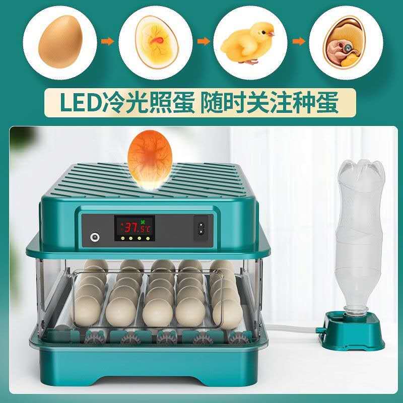 Fully Automatic Household Egg Hatcher